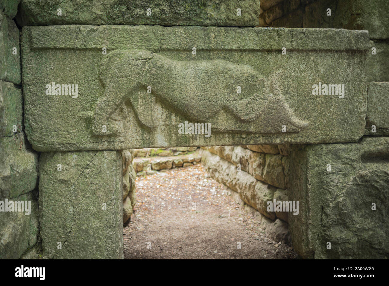 lions gate, ruins in butrint, unesco world heritage, albania, butrint, ionian sea, europe Stock Photo