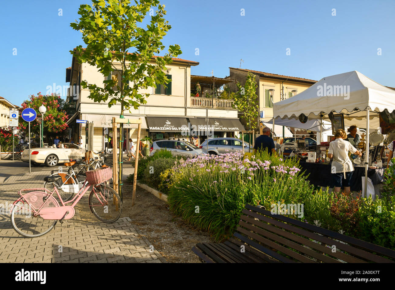 Street view of the sea city of Forte dei Marmi with a stand of the Antique  Market and a blooming bedflower in summer, Lucca, Tuscany, Versilia, Italy  Stock Photo - Alamy