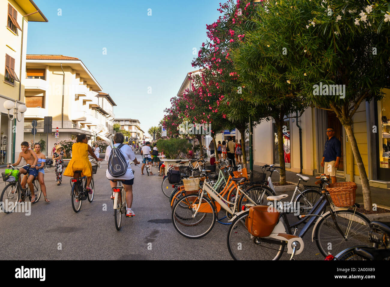 Street view of the sea city of Forte dei Marmi with people on bicycles, parked cycles and flowering oleander trees in summer, Lucca, Versilia, Italy Stock Photo