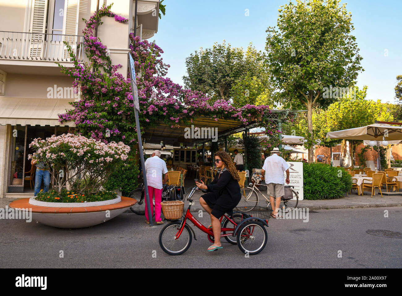 Street view of Forte dei Marmi with a woman on a three wheel bicycle and flowering plants of bougainvillea and oleander, Lucca, Tuscany, Italy Stock Photo