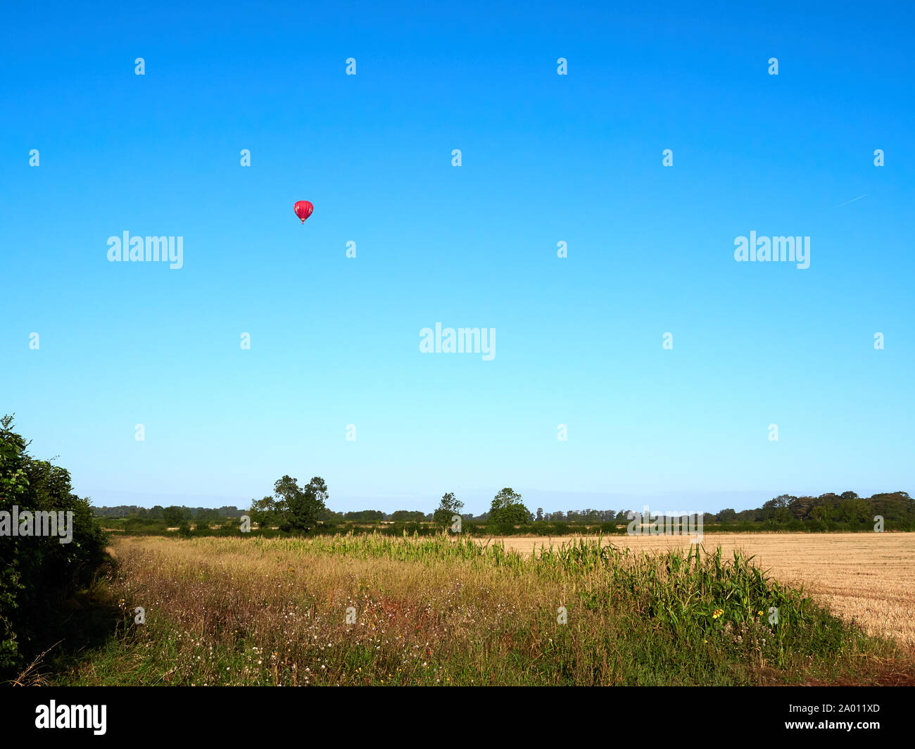 A red hot air balloon over farmland near Grantham in Lincolnshire against the vibrant clear blue sky Stock Photo