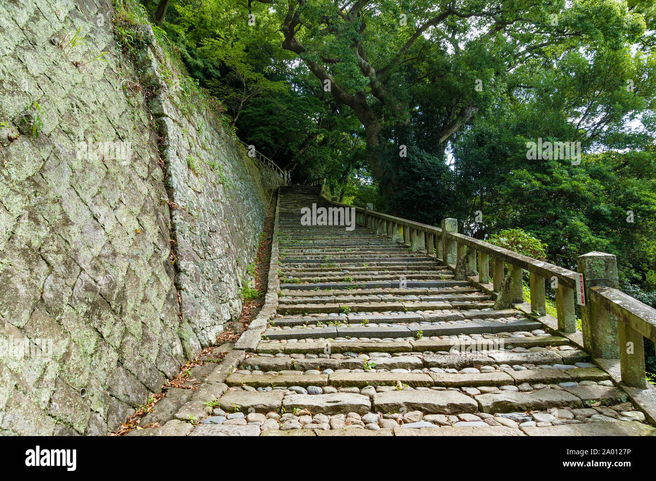 Steep stone stairs surrounded by lush green trees. Kunozan Tosho-gu shrine staircase, Shizuoka, Japan Stock Photo