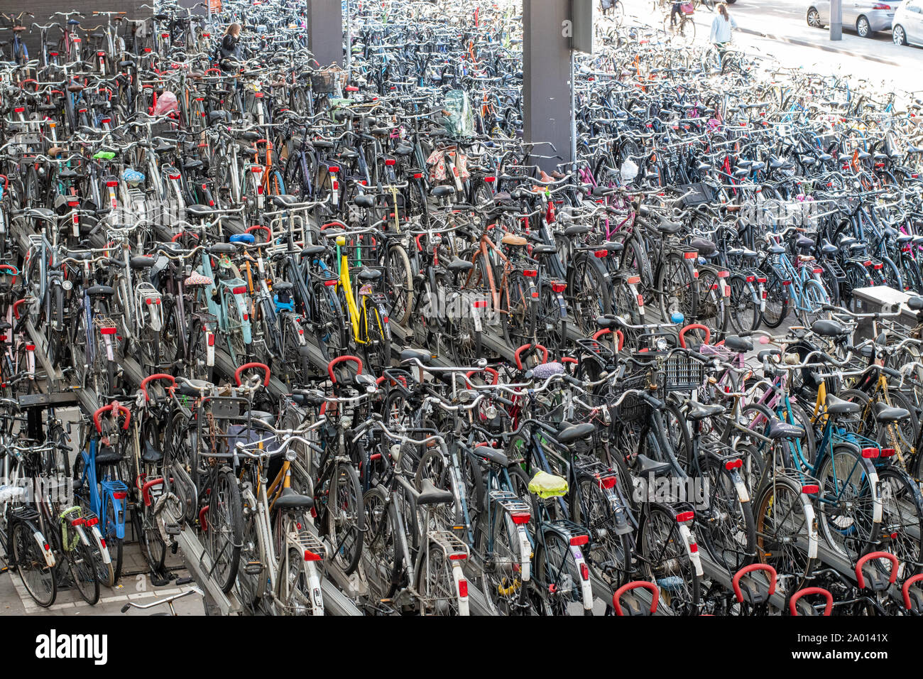 Hundreds of bicycles parked at a railway station in Rotterdam the Netherlands Stock Photo Alamy