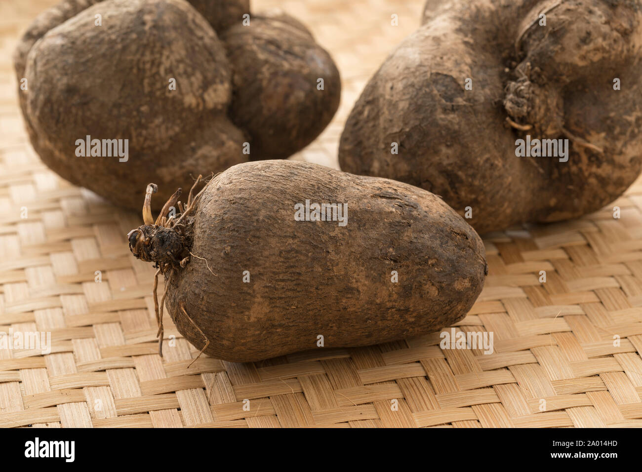 Fresh raw brown organic yams, tropical food Stock Photo