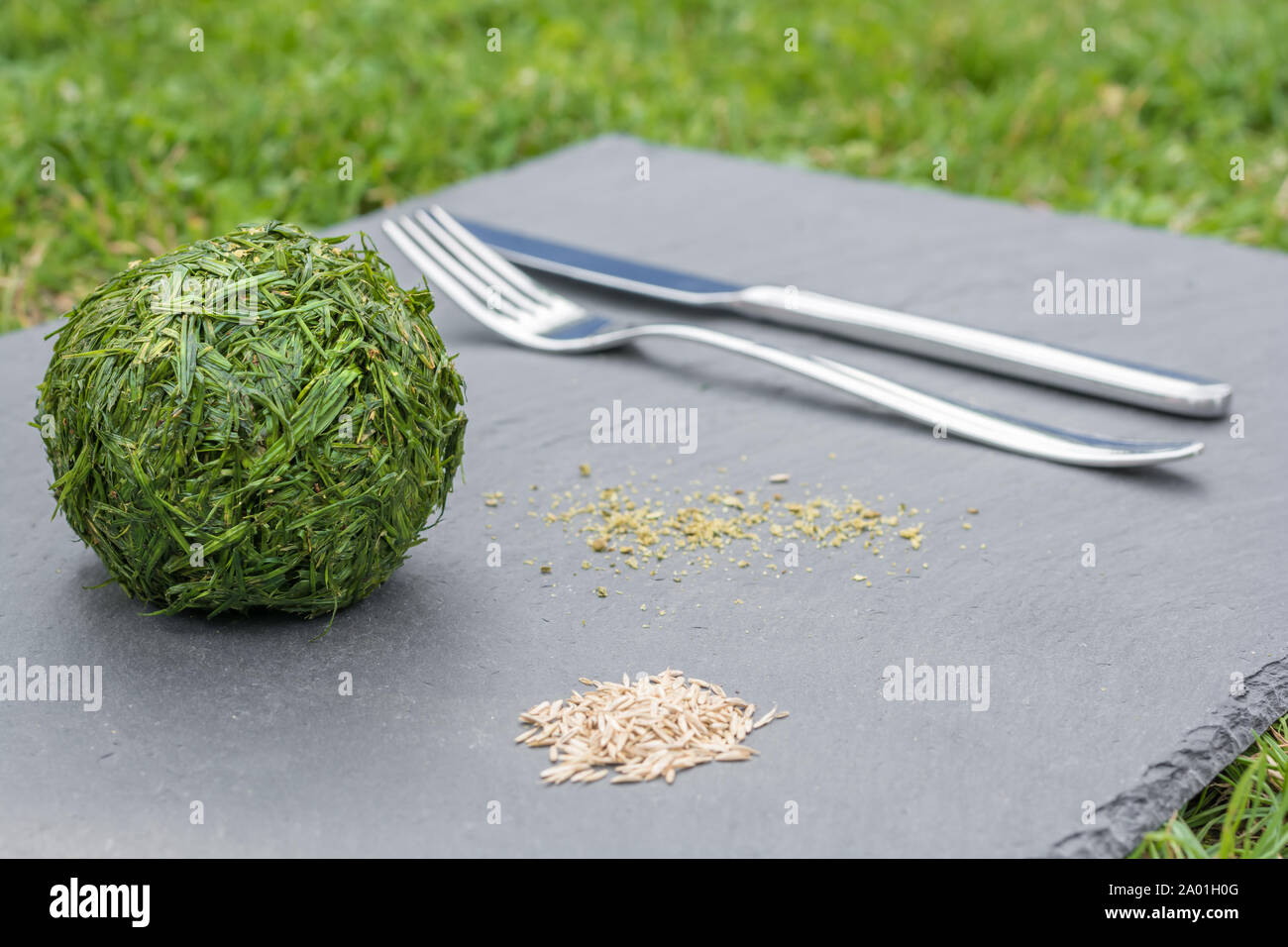 Vegan Cookbook High Resolution Stock Photography And Images Alamy