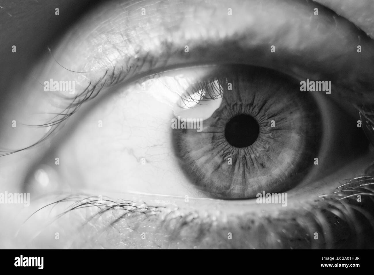 Pupil Eye Black Not Animal High Resolution Stock Photography and Images Alamy