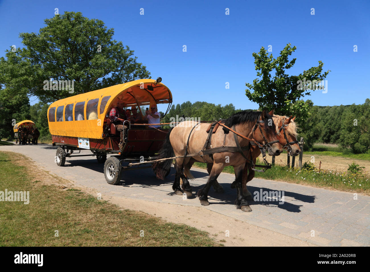 carriage tour at  KLoster, Hiddensee island, Baltic Sea, Mecklenburg Western Pomerania, Germany, Europe Stock Photo