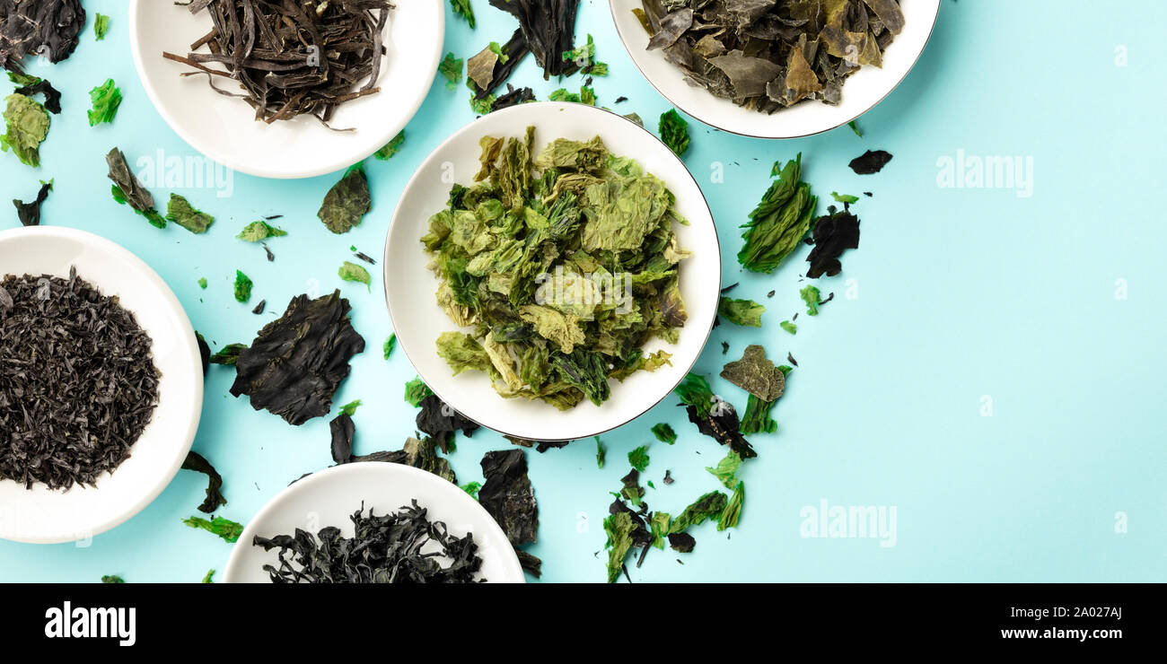 A panorama of various dry seaweed, sea vegetables, shot from above on a blue background with copy space Stock Photo