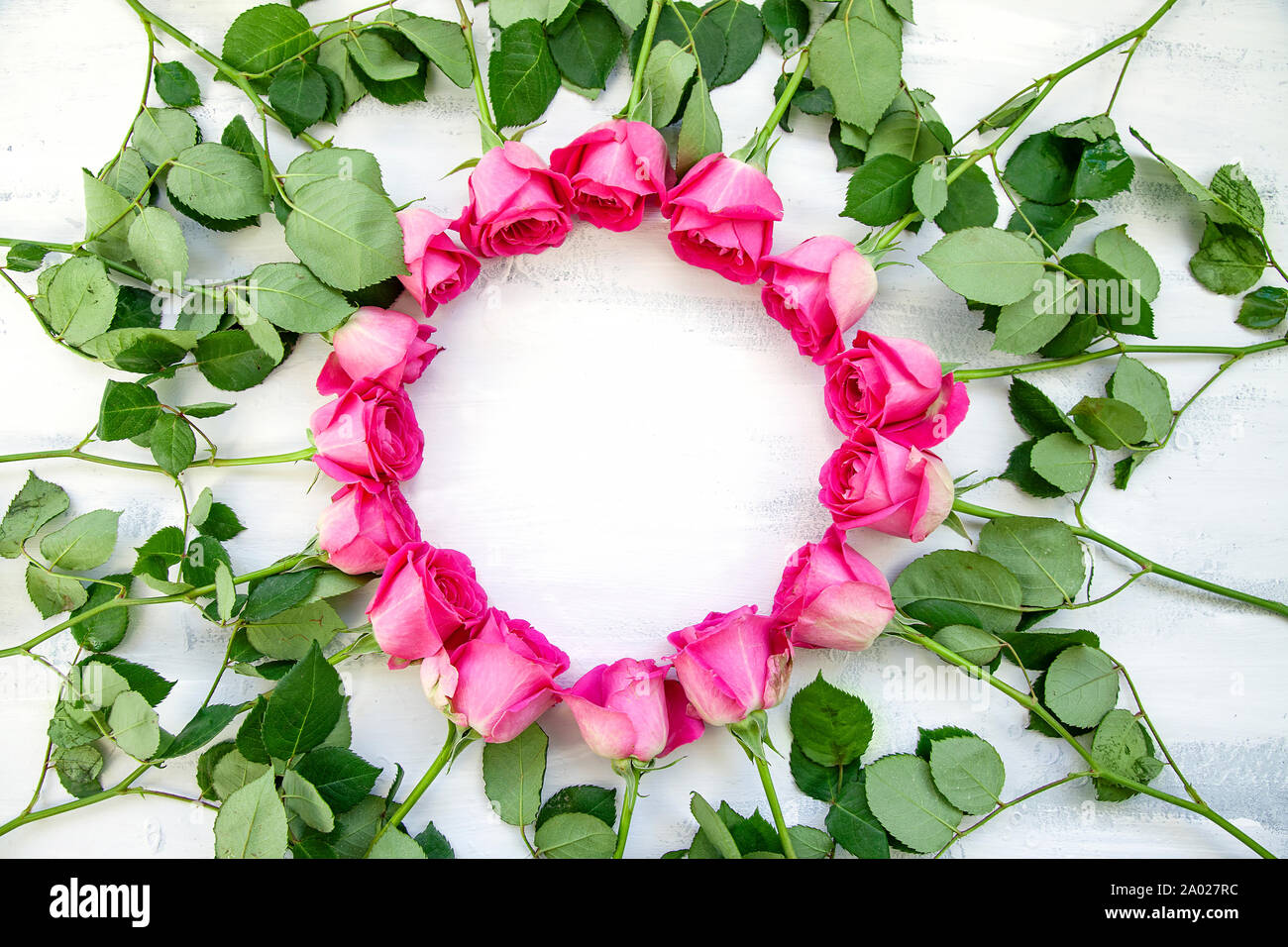 Circle flatlay Frame made of pink rose flowers Stock Photo