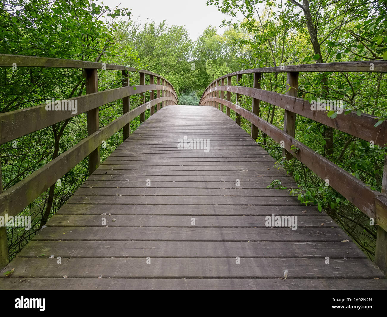 Old wooden bridge leading into a forest in Galicia La Coruna Spain Stock Photo