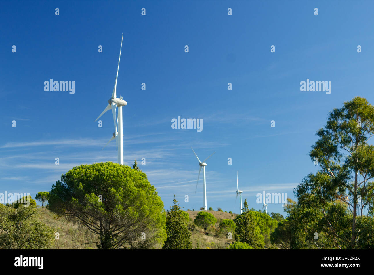 Wind turbines surrounded by trees in Portugal Stock Photo