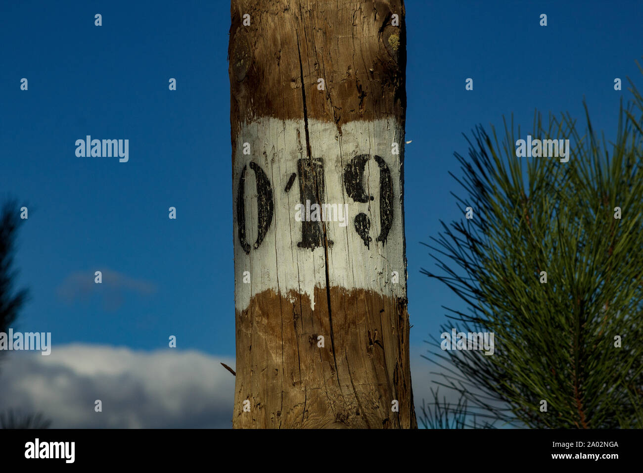 Wooden telegraph pole 019 in Portugal Stock Photo
