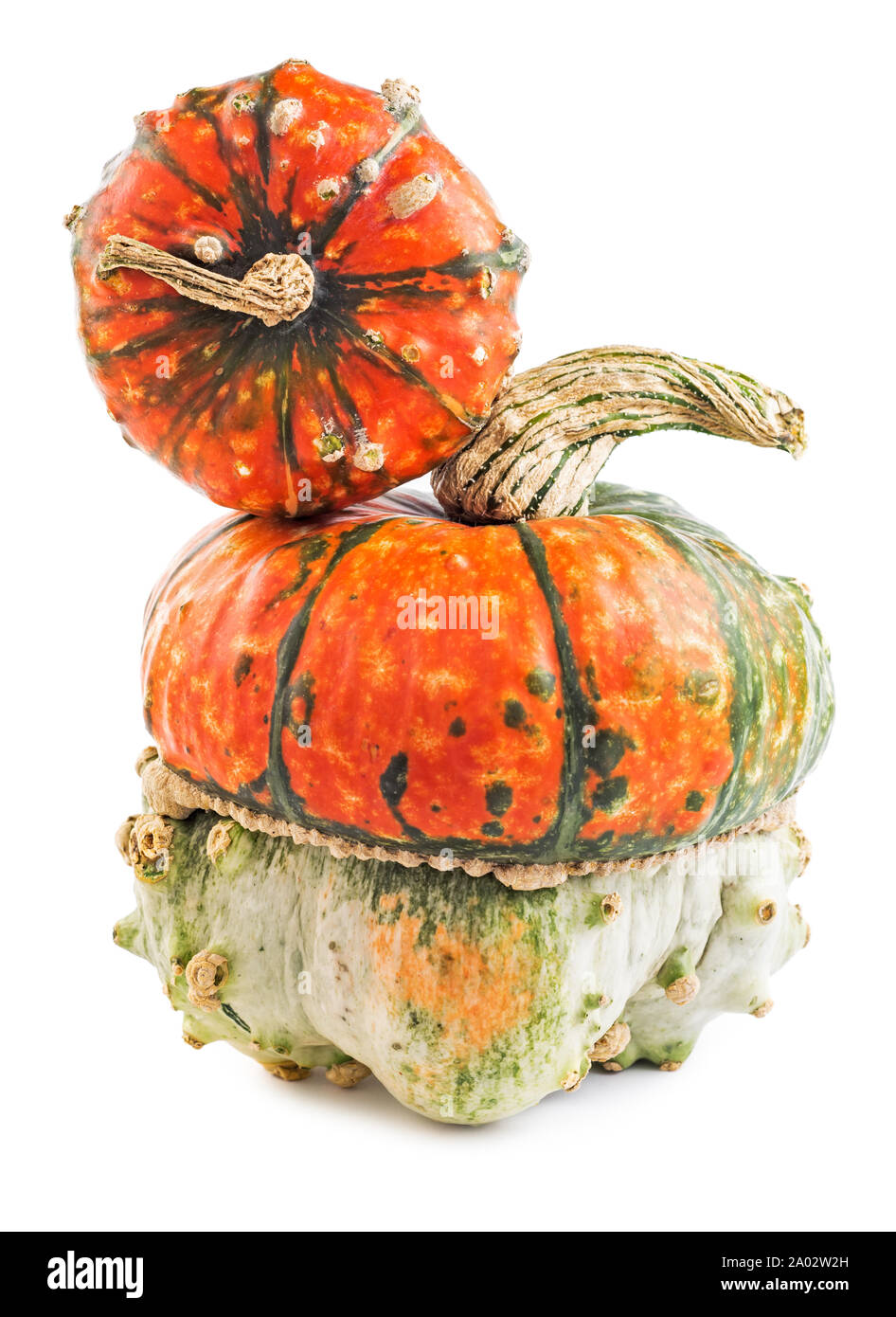 Scary pumpkins isolated on white background Stock Photo - Alamy