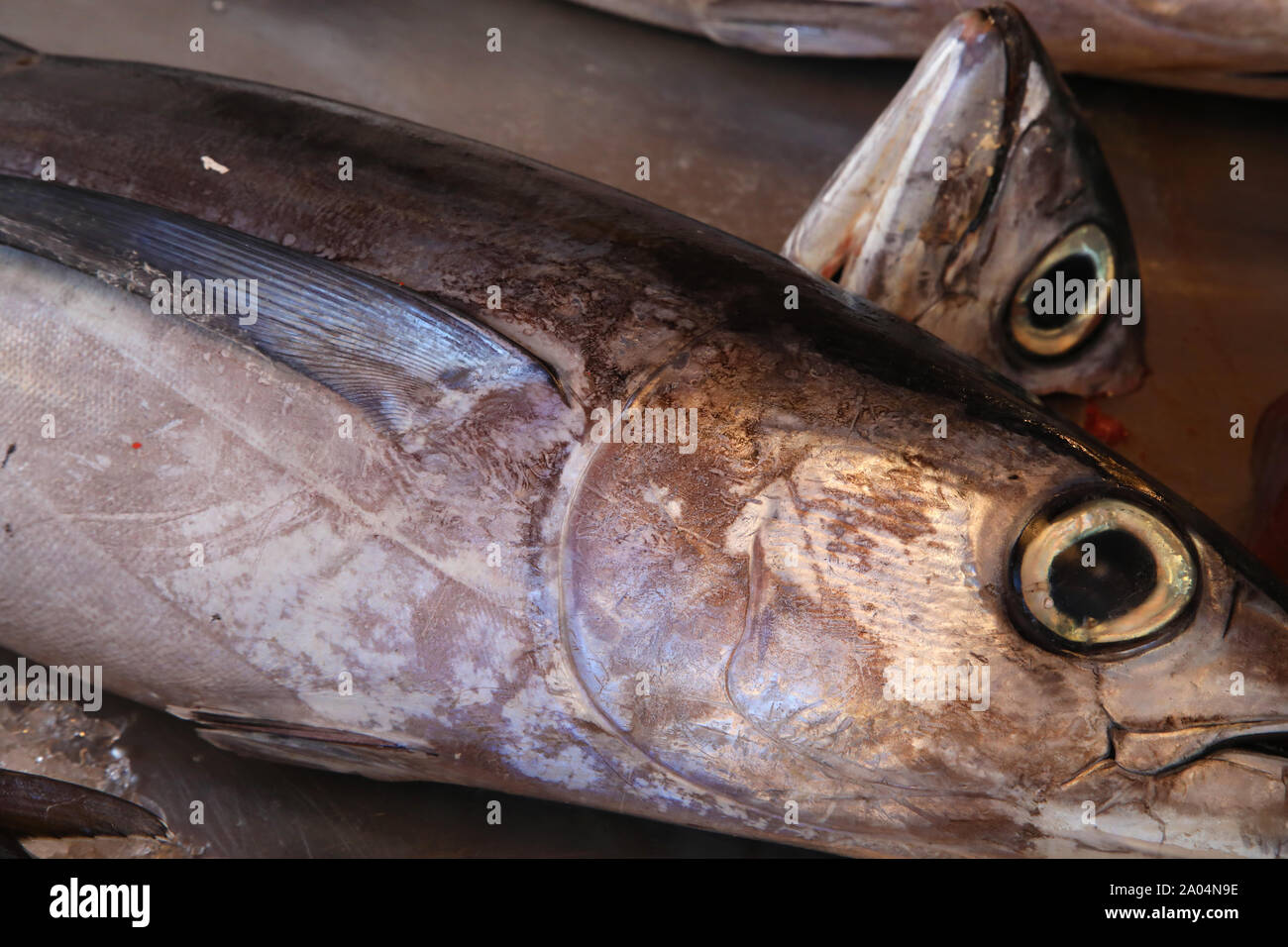 Tuna fish on sale in outdoor sicilian market Stock Photo Alamy