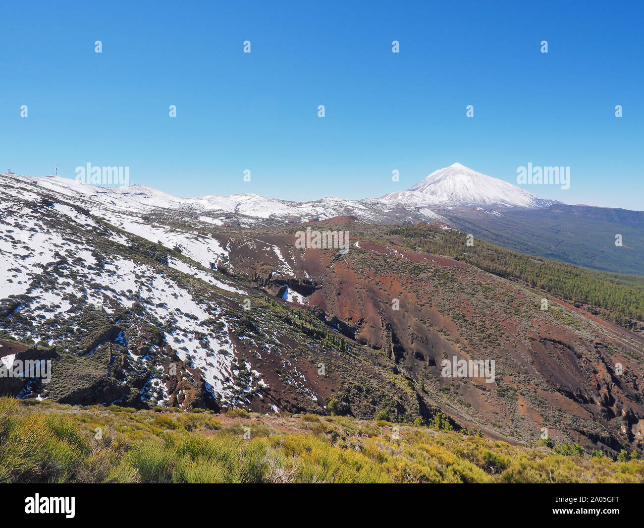 Wide angle landscape view of El Teide and great volcanic landscape with snow and fresh plants in the foreground Stock Photo