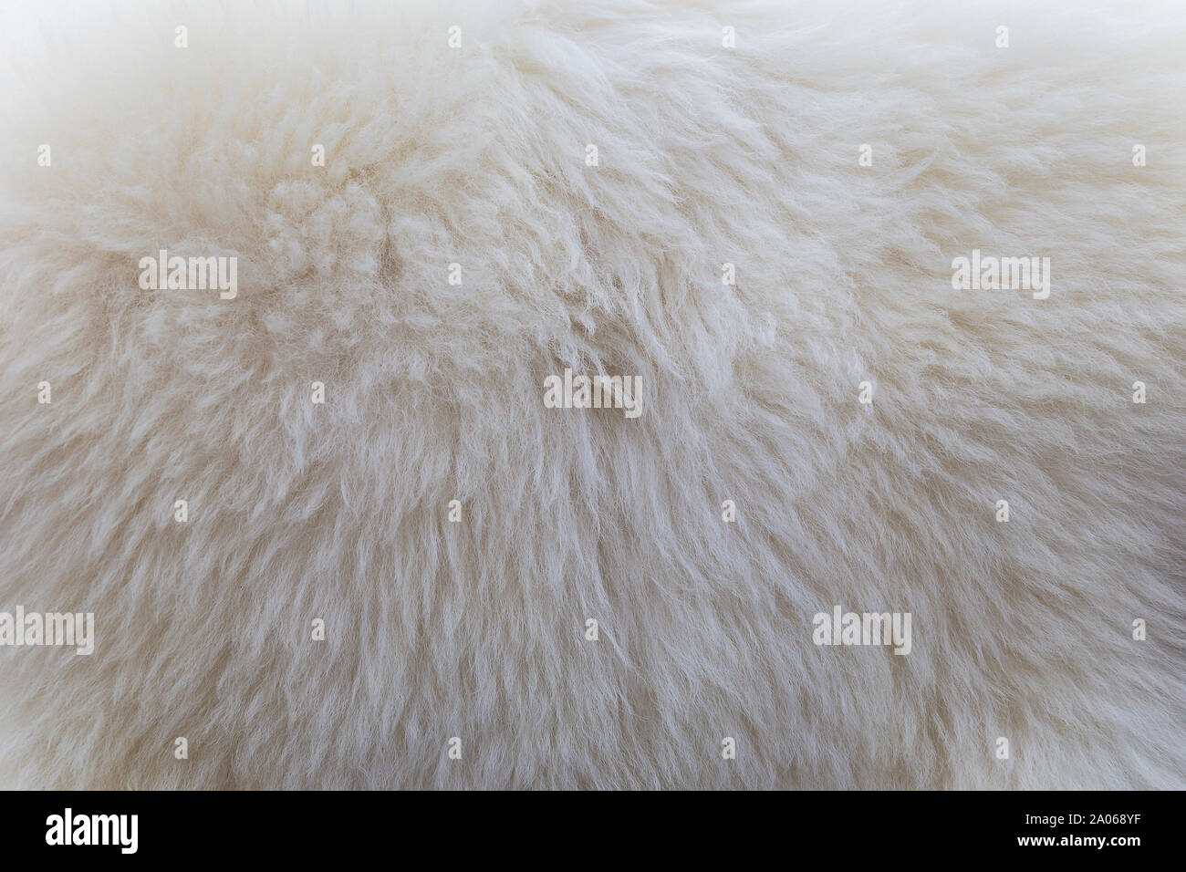 Animal skins marketed in the city Stock Photo Alamy