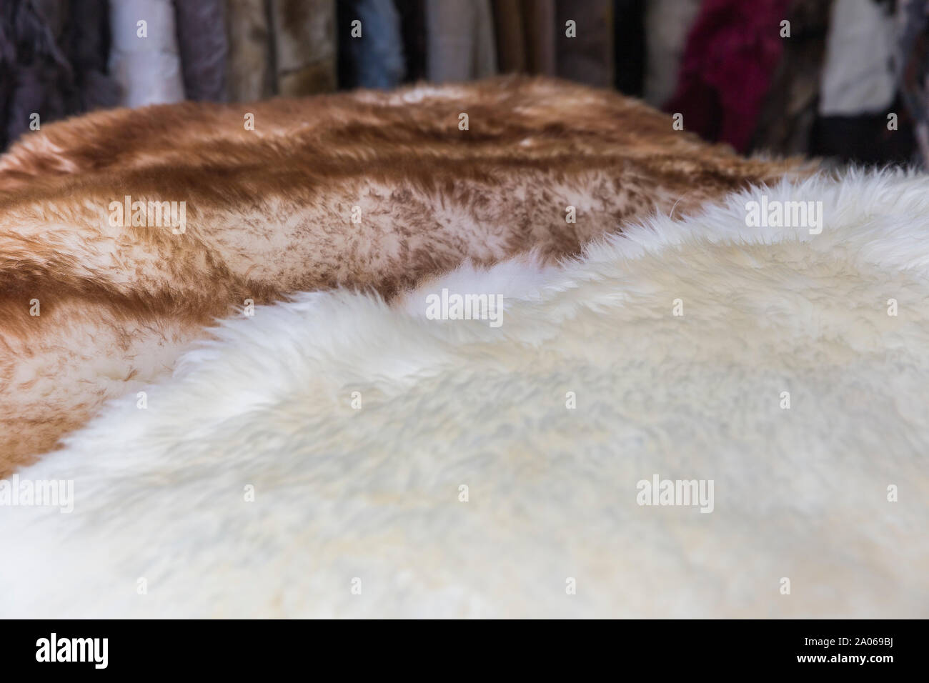 Animal skins for sale hires stock photography and images Alamy