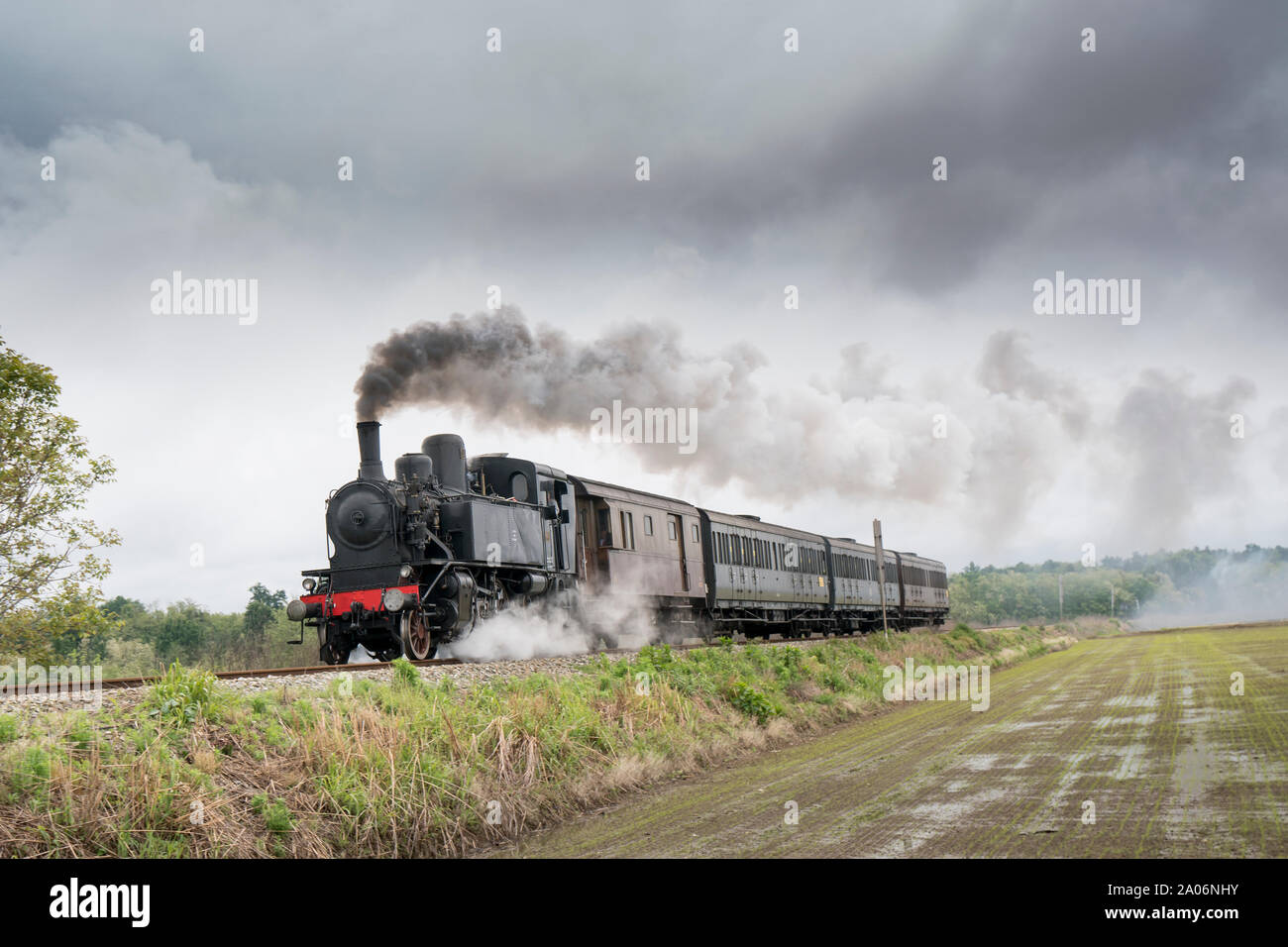 Vintage steam train with ancient locomotive and old carriages runs on the tracks in the countryside Stock Photo