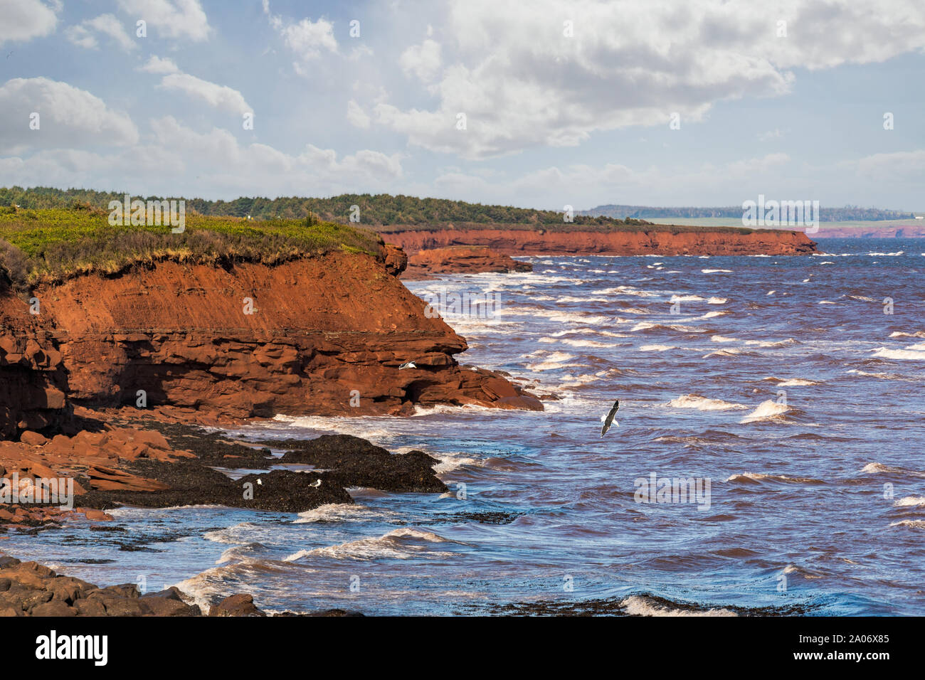 Sandstone cliffs along the north shore of Prince Edward Island, Canada