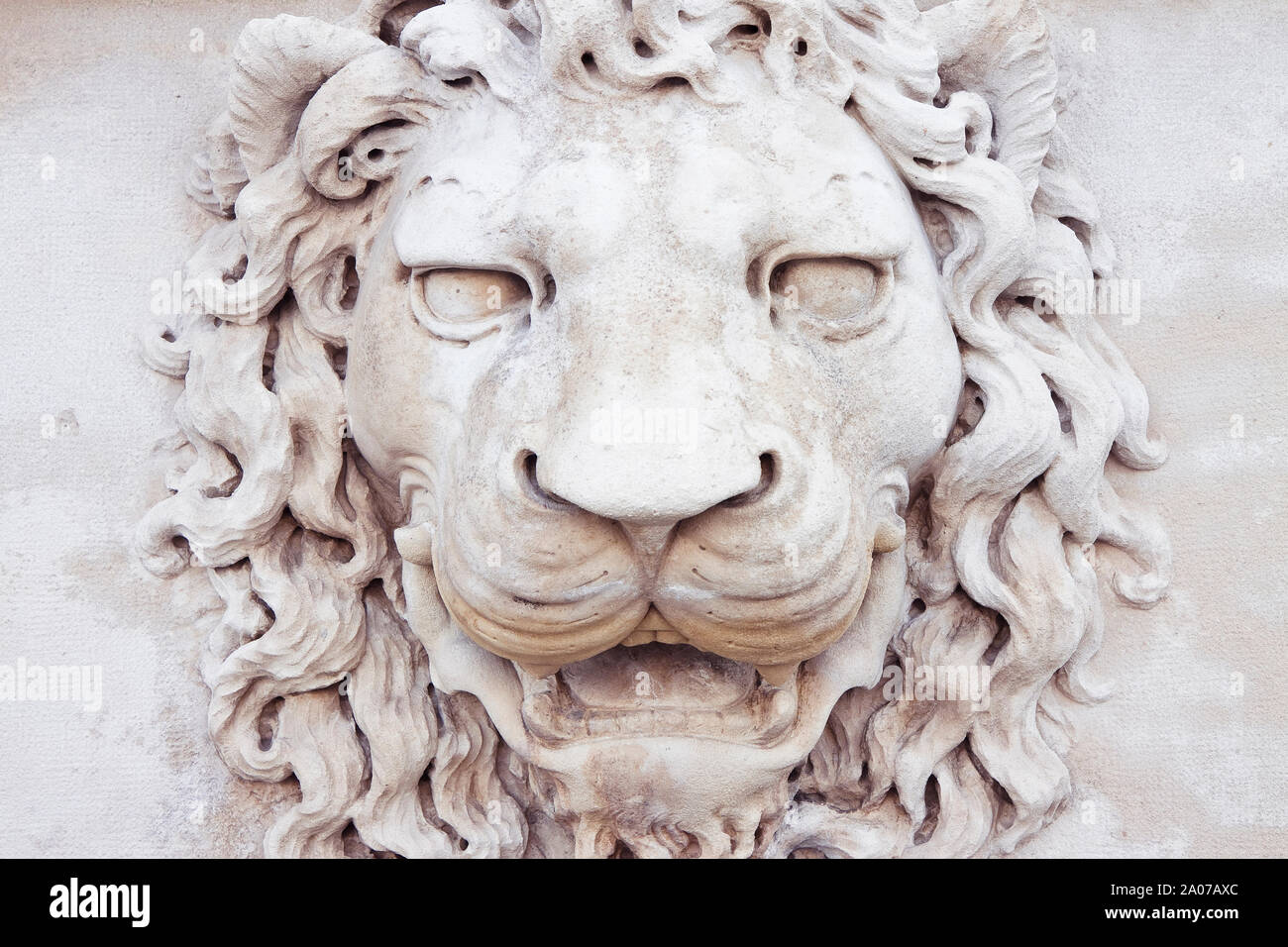 Sculpture Gothique Originale - Lion Médiéval En Bois - France (XIXe)