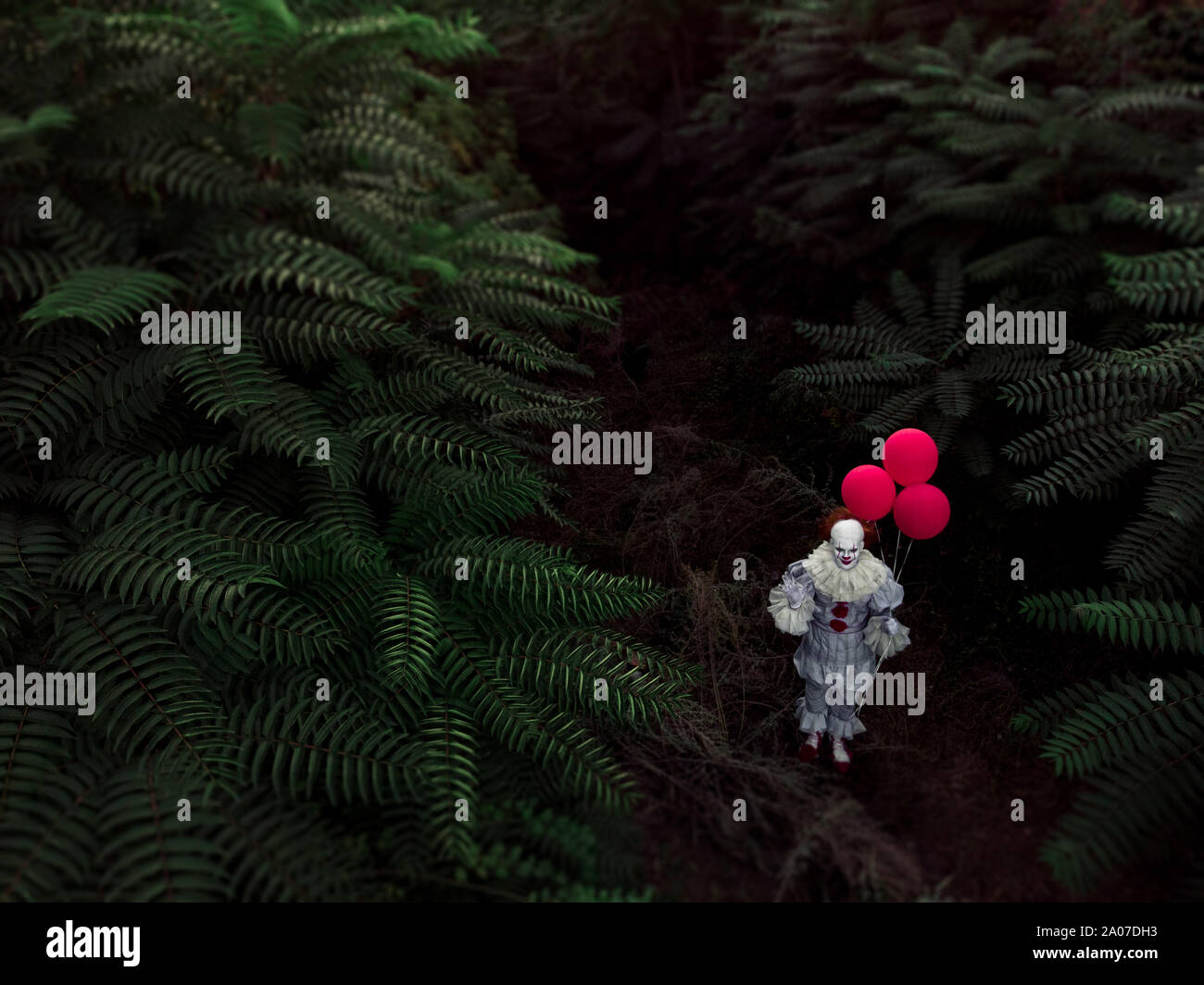 A drone shot of a man in the image of a clown with red balloons in his hand  in the forest Stock Photo - Alamy