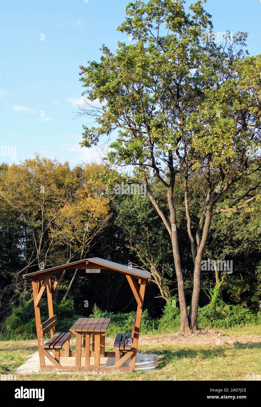 Wooden picnic with table and bench and sun protection in a forest of ...