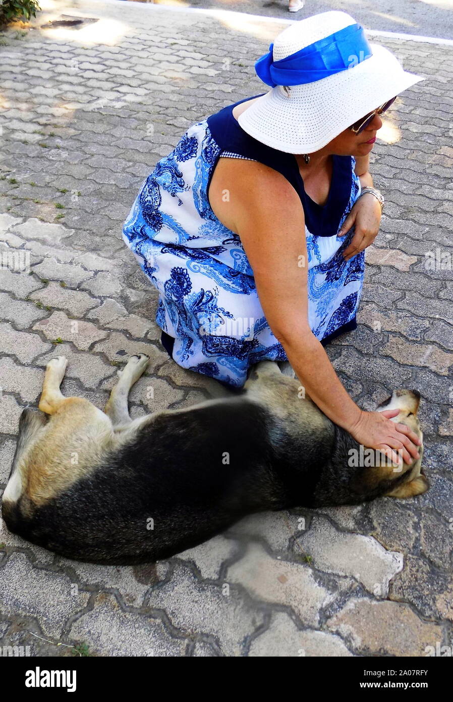 dog, woman, animal, street, fondle Stock Photo