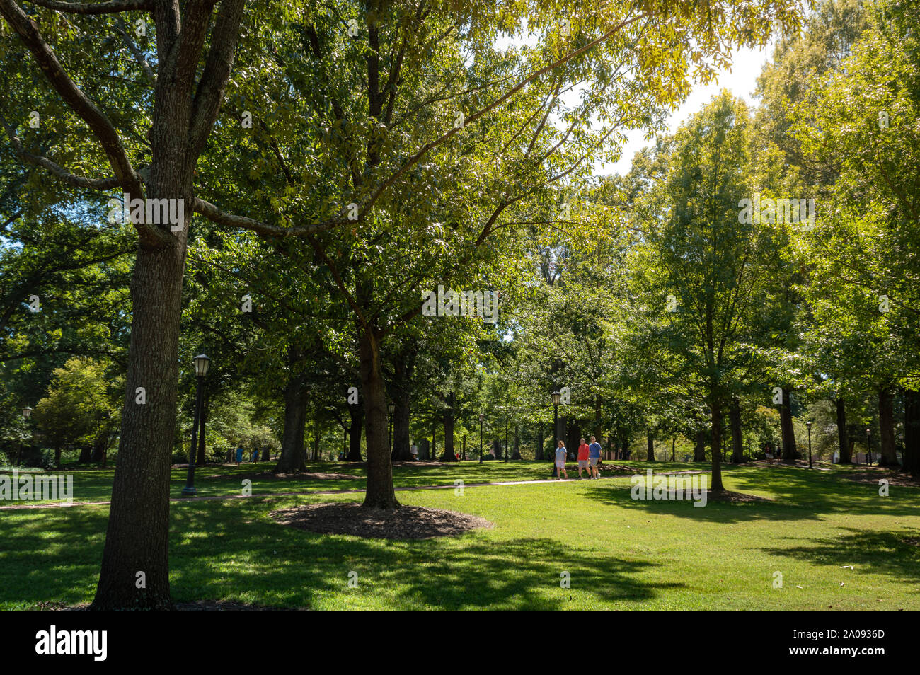 Chapel Hill / NC / USA - August 31, 2019: garden of University of North Carolina on a summer day Stock Photo