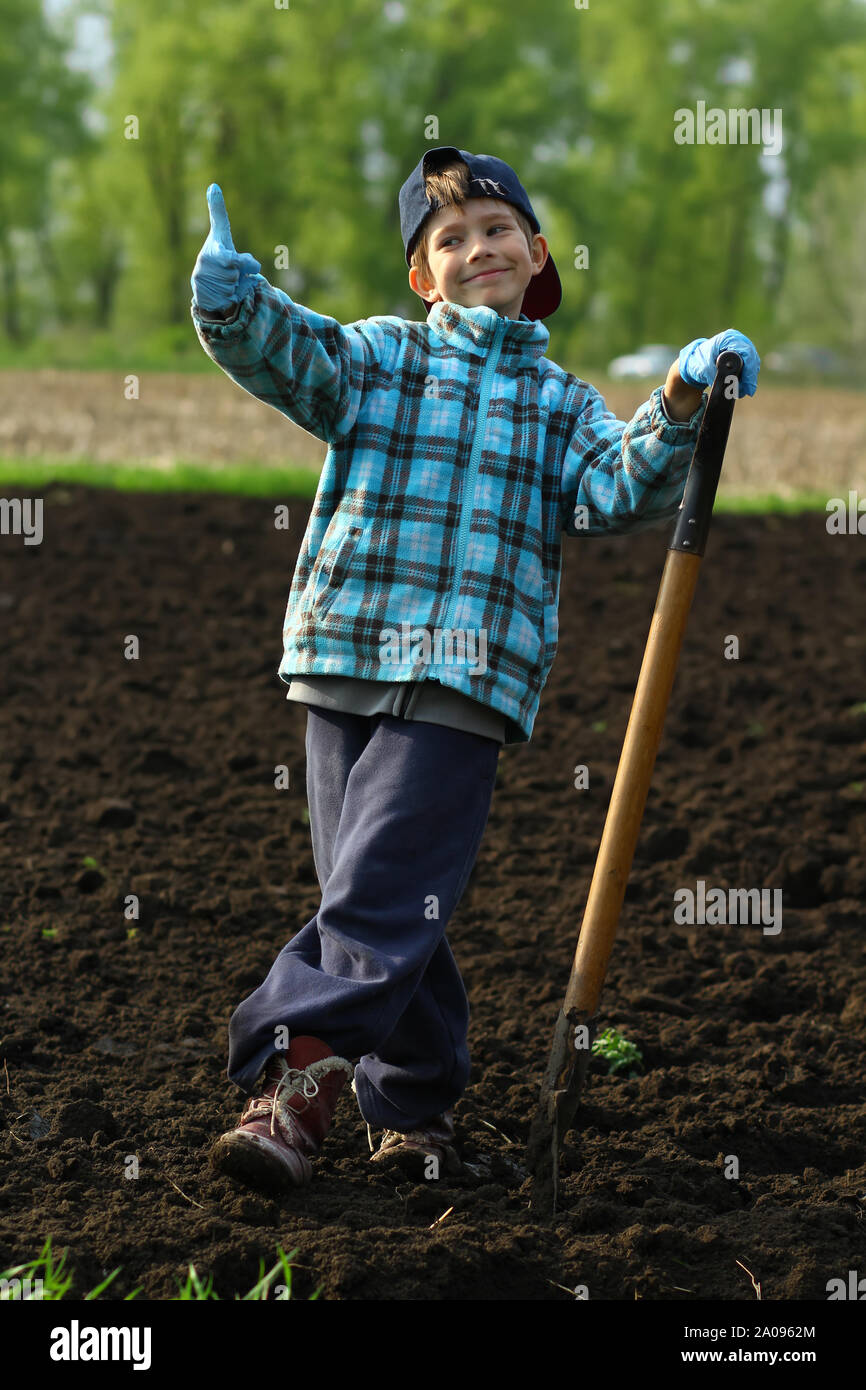 Portrait of a boy working and posing with a spade on the vegetable ...