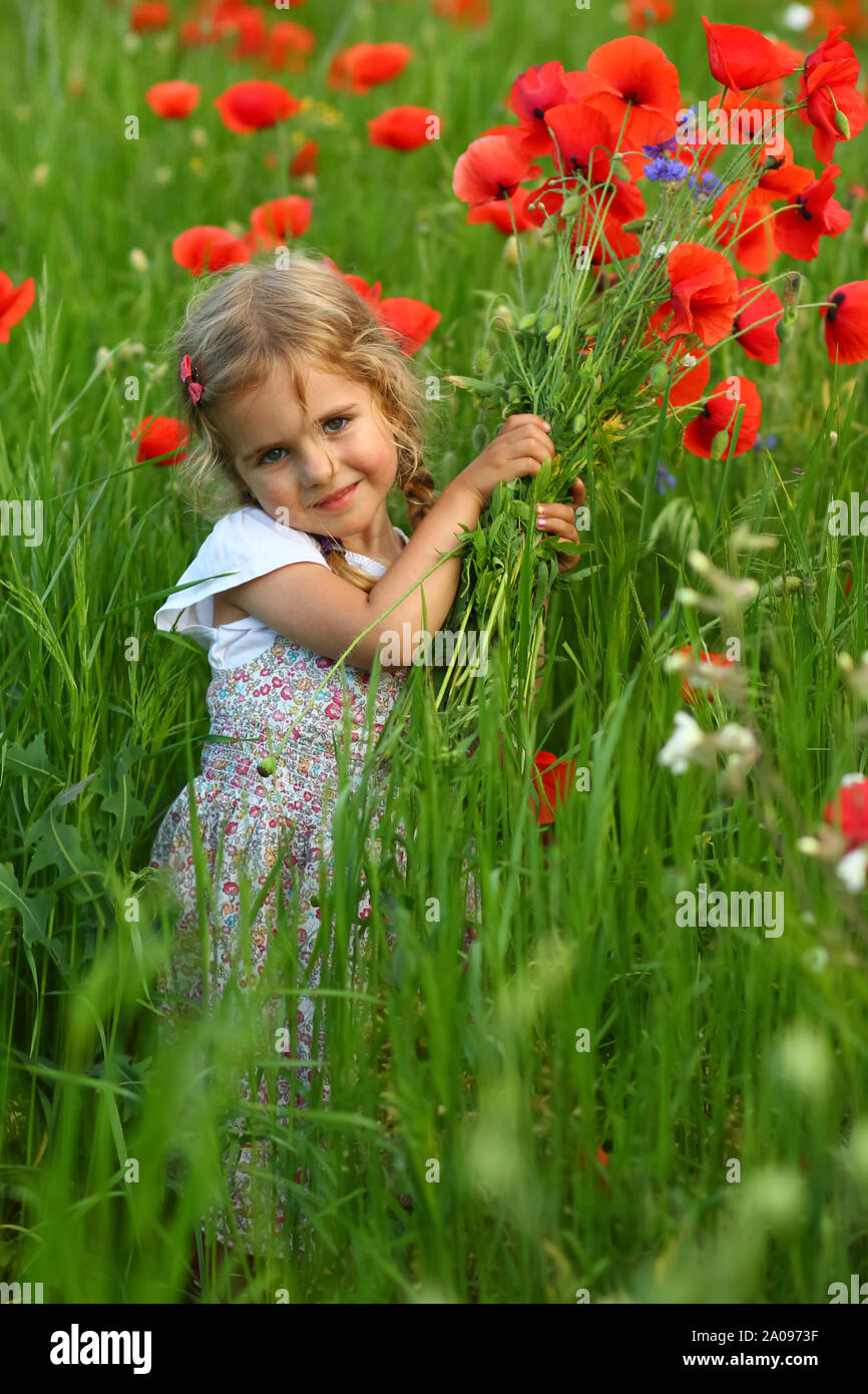 Three year old toddler girl in the summer field of blooming poppy flowers posing with a bouquet Stock Photo
