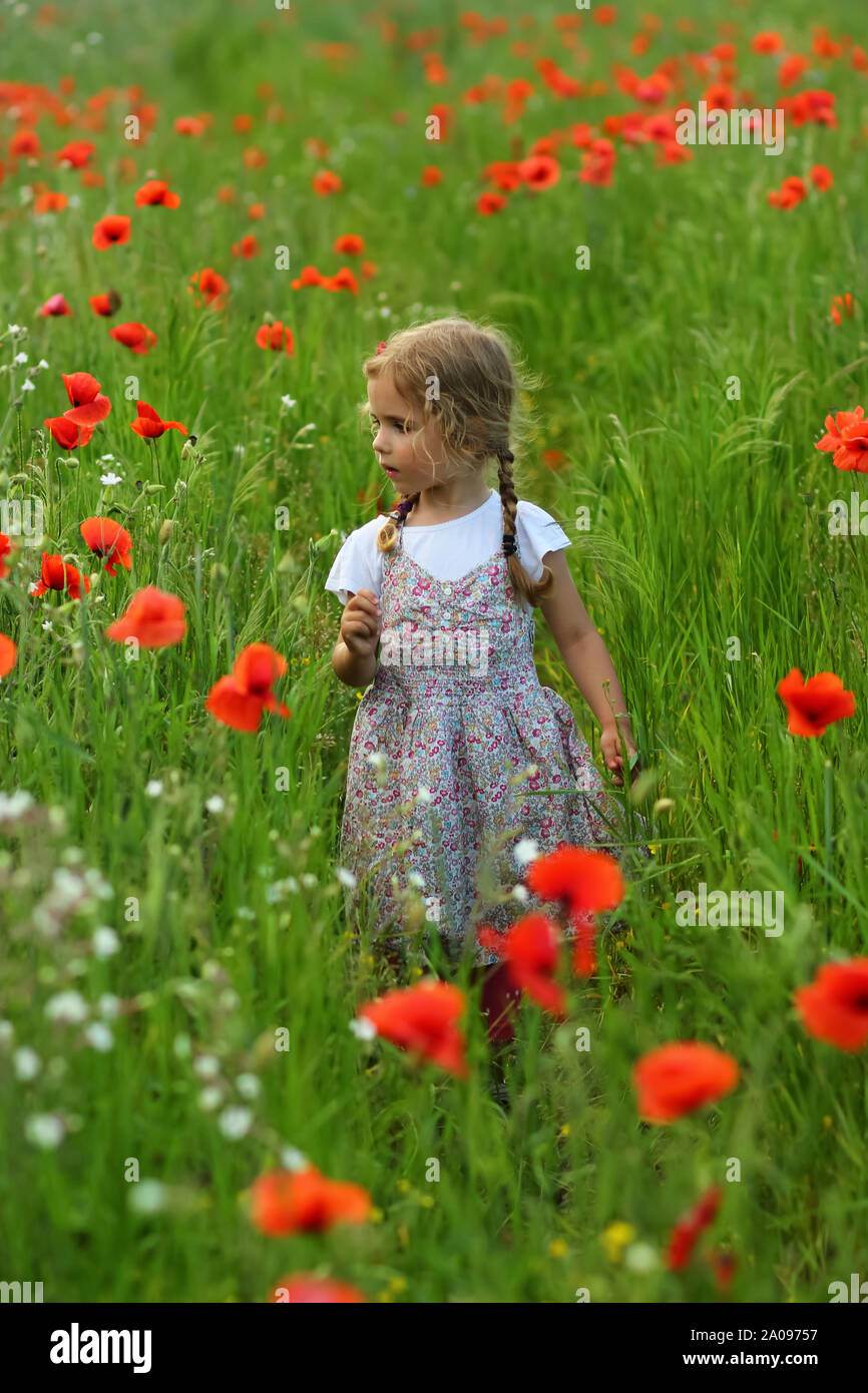 Three year old toddler girl in the summer field of blooming poppy flowers posing with a bouquet Stock Photo