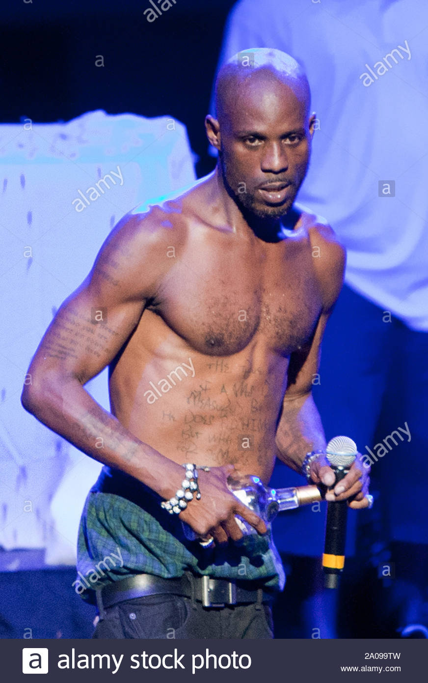 Detroit Mi Rapper Dmx Hits The Stage For A Live Performance At Chene Park In Detroit Mi Dmx Performed All His Hits And Appeared To Bring The Party On Stage With
