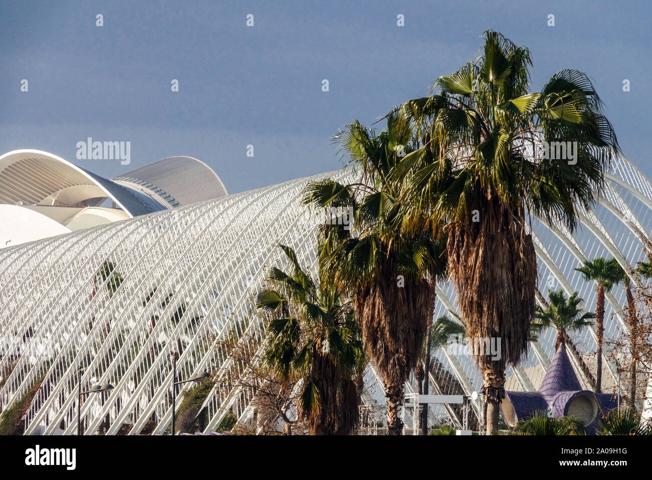 Valencia City Spain City of Arts and Sciences, Valencia Palm tree front Umbracle building covers a car park beneath it, Valencia umbracle Stock Photo