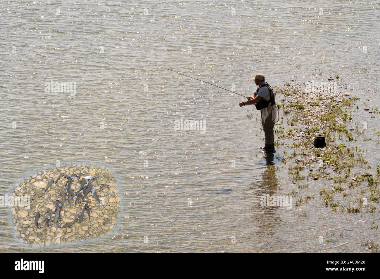 Man fishing in the river Roia with an inset of fish swimming nearby, in Ventimiglia, Liguria, Italy, Europe Stock Photo