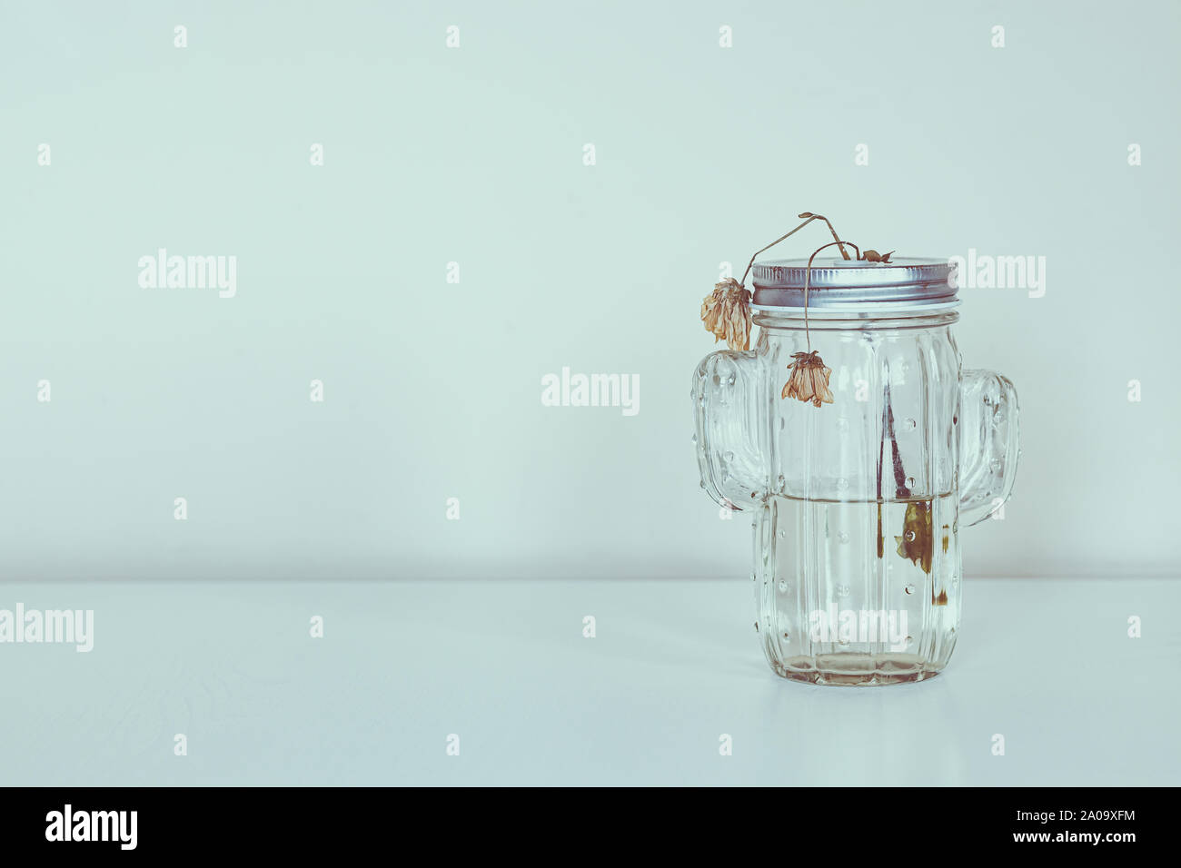 dead flowers in glass jar on white background Stock Photo Alamy