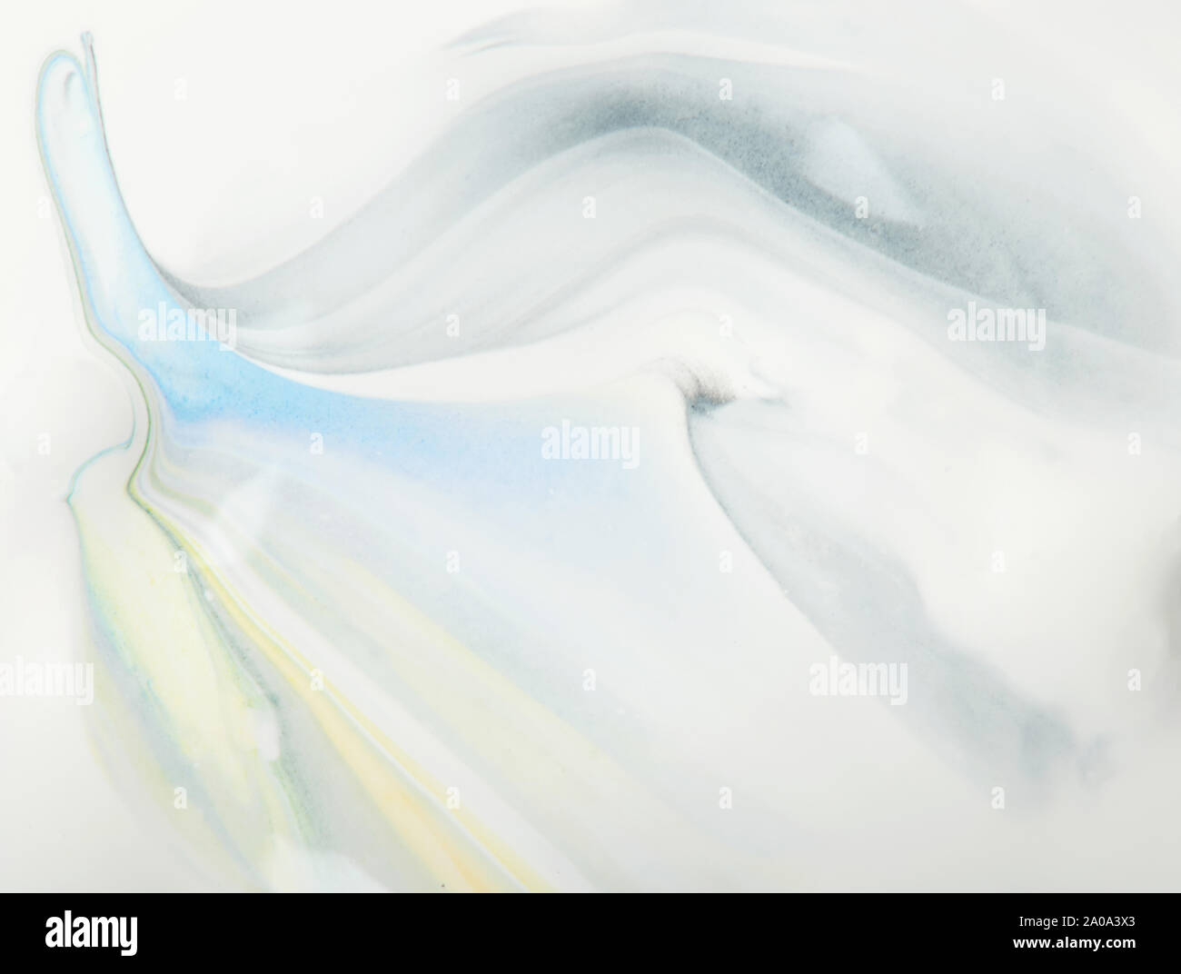 paint lines with white background