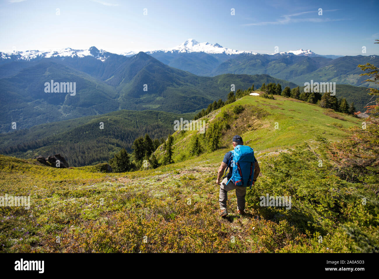 Hiking on Bald Mountain in the North Cascade Mountain Range Stock Photo Alamy