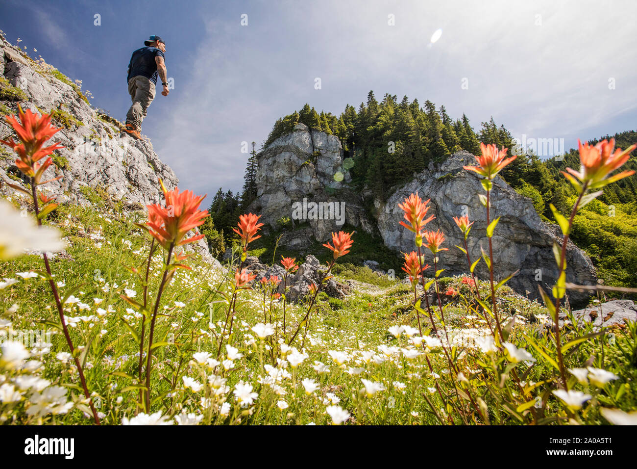 Hiking on Bald Mountain in the North Cascade Mountain Range Stock Photo