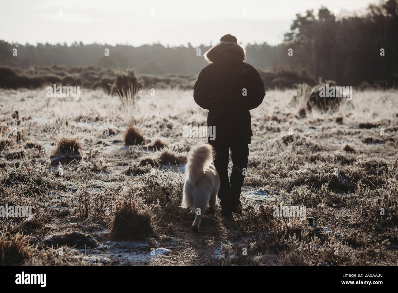 Rear view of man walking dog on heathland on a cold frosty morning