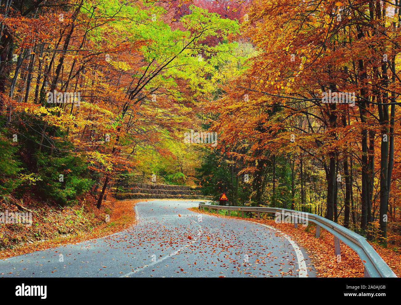 Asphalt road through colorful deciduous forest in the autumn Stock ...