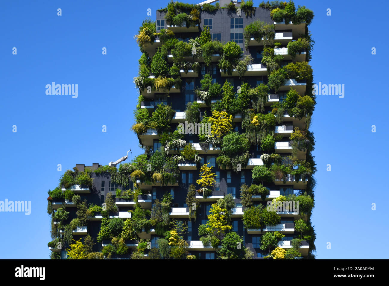 Bosco Verticale (Vertical Forest) is a pair of residential towers (111 and 76 meters height) designed by Stefano Boeri and contain more than 900 trees Stock Photo