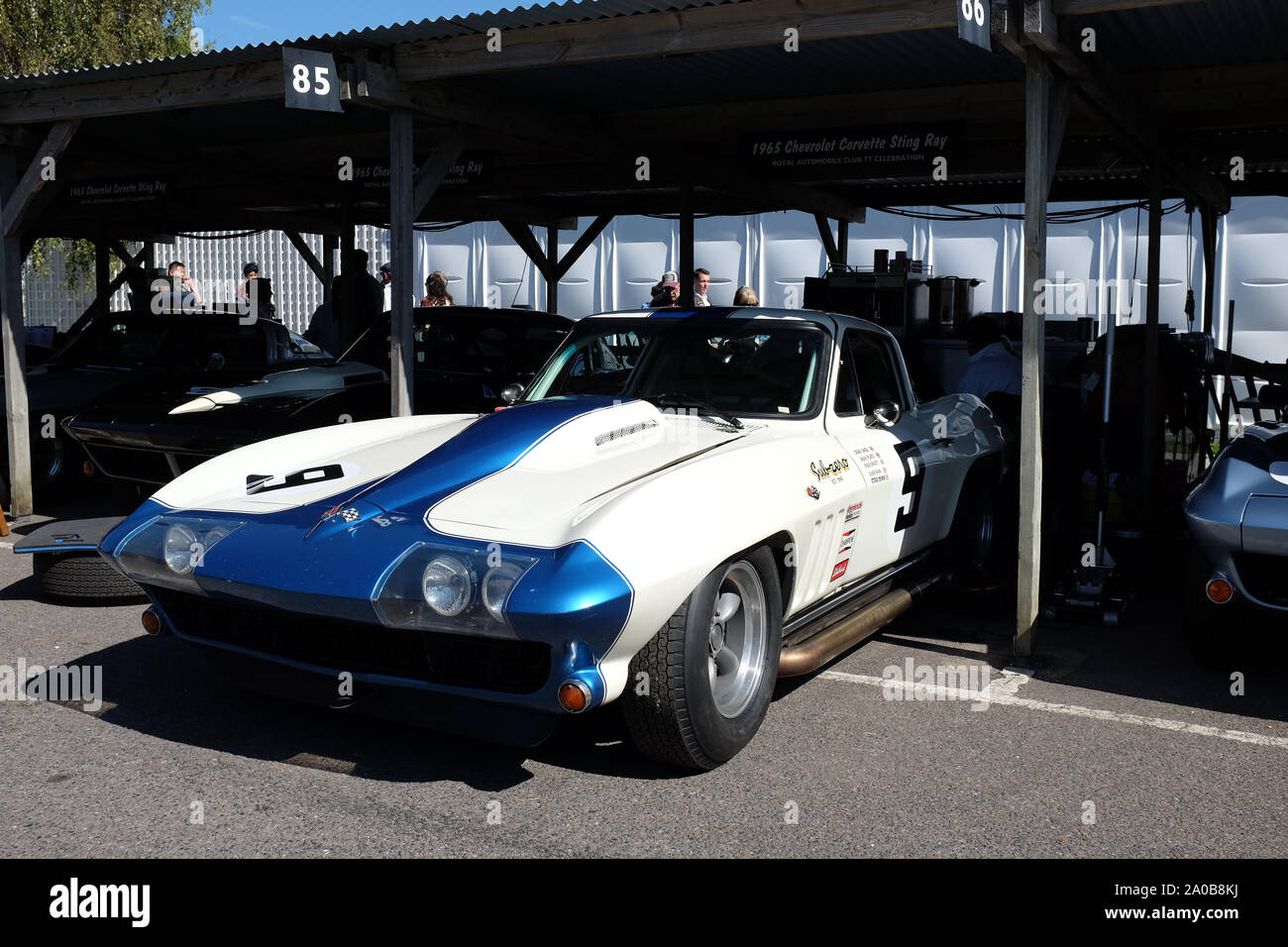 September 2019 - Race cars in the paddock at Goodwood Revival Stock Photo