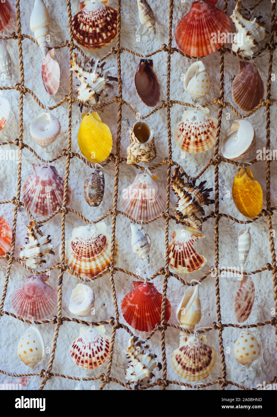 Fishing, fishing net with seashells. Network with beautiful seashells as  decor. Decor and sea concept. Decoration for interior, decoration of walls,  n Stock Photo - Alamy