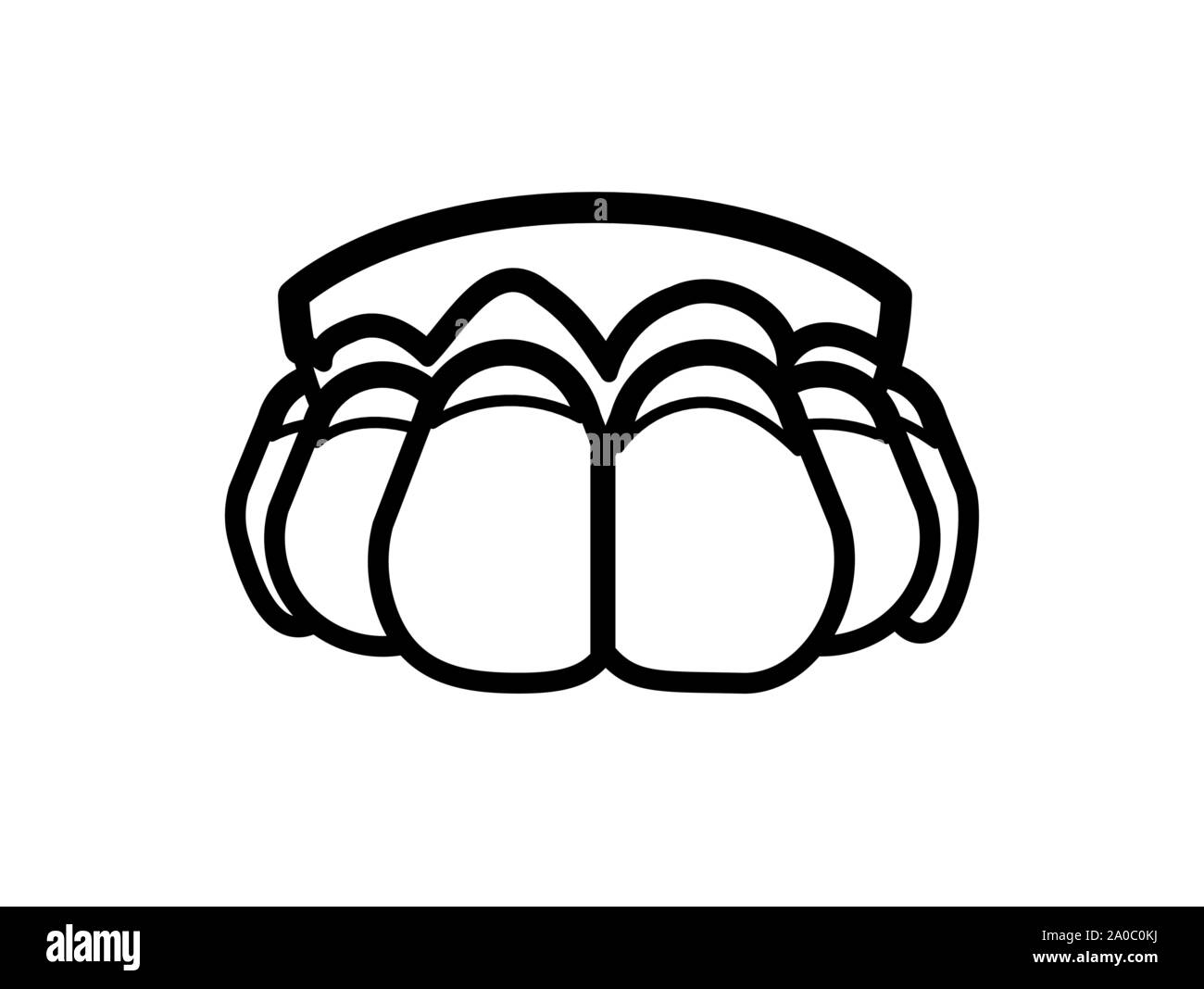 human teeth isolated icon vector illustration design Stock Vector