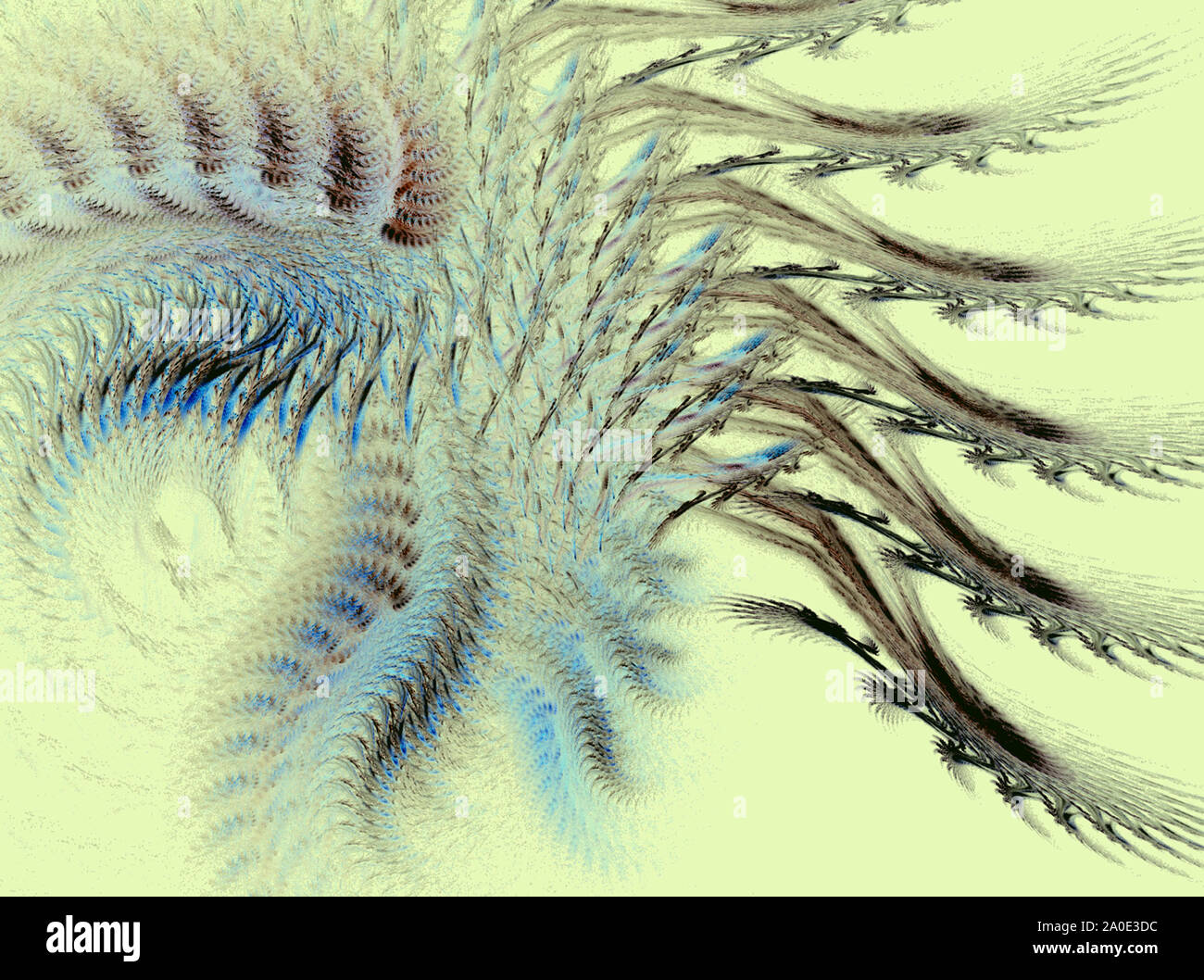 Feather, digital creation, fractal, Stock Photo