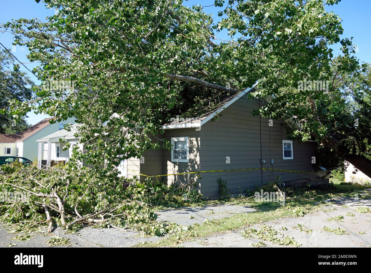 Tree fallen on roof house hi-res stock photography and images - Alamy