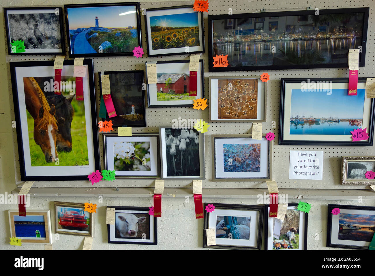 Photo Contest and ribbons at a county fair Stock Photo Alamy