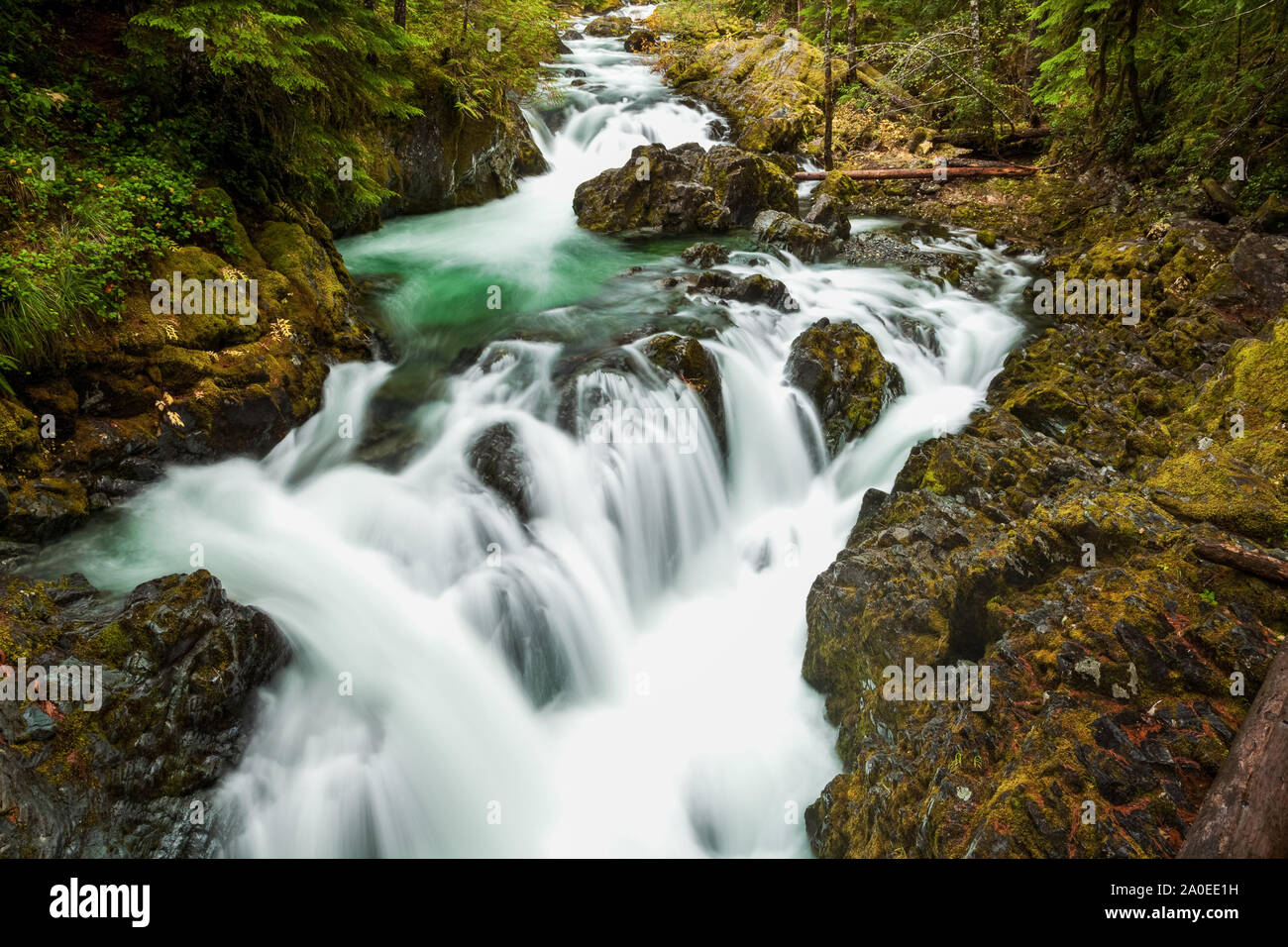Opal pool falls hires stock photography and images Alamy