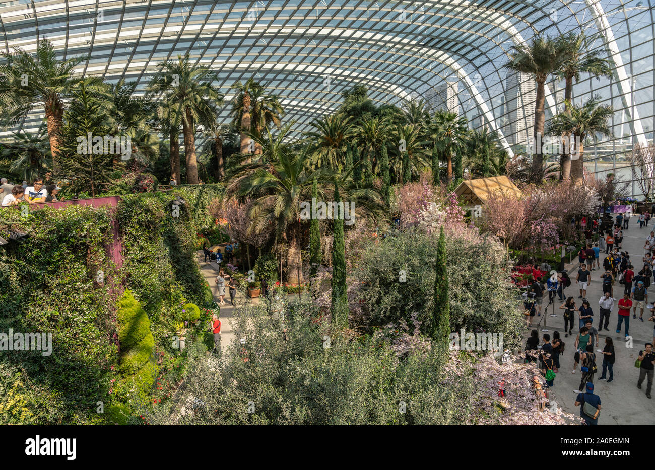 Singapore - March 22, 2019: Gardens by the Bay, the Flower Dome. Overview of palm tree section with lots of people walking  on paths. Green color by p Stock Photo