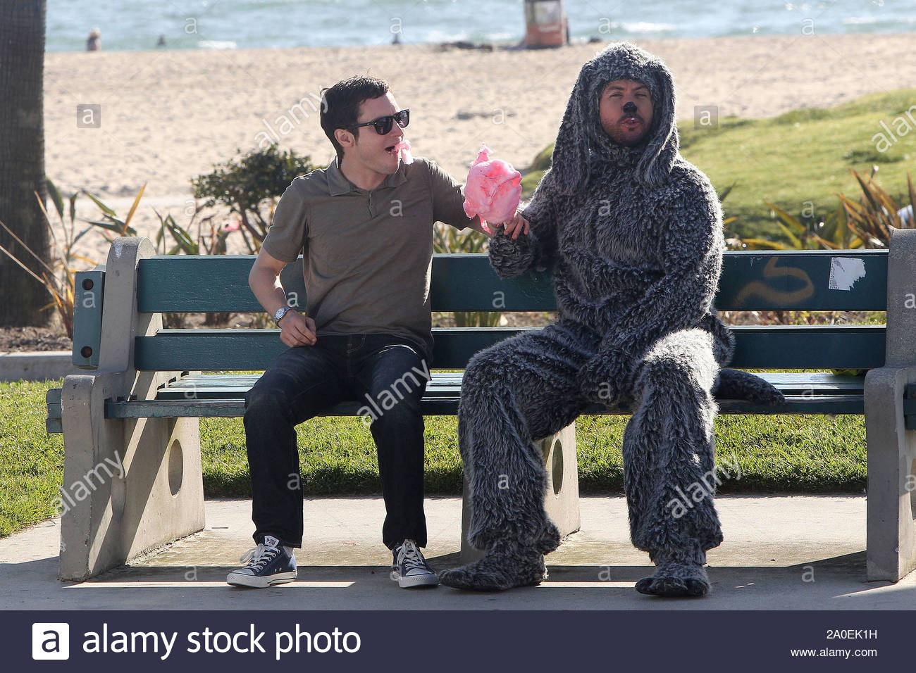 Venice Beach Ca Actor Elijah Wood Films A Segment For His New Tv Show Wilfred On